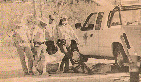 A hiker in the backcountry near June Moutain discovered a plane crash with two bodies on Friday. Because the crash site was surrounded by steep mountains, the bodied had to first be transported out by helicopter A hiker in the backcountry near June Moutain discovered a plane crash with two bodies on Friday. Because the crash site was surrounded by steep mountains, the bodied had to first be transported out by helicopter