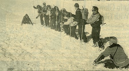 Avalanche training - probe line