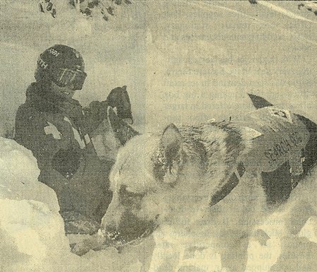 'Victim' Julia White is rescued by search dog Trapper 'Victim' Julia White is rescued by search dog Trapper