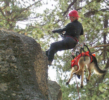 WOOF Dog Training - September 28, 2002 WOOF Dog Training - September 28, 2002