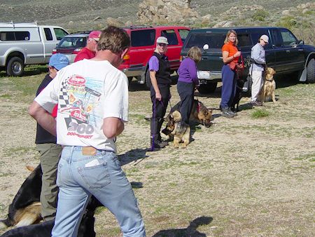 Search Dog training Search Dog training