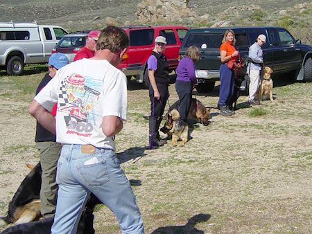 Search Dog training