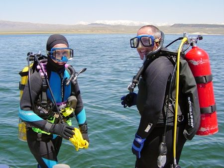 Dive Training Dive Training
