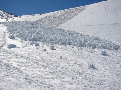 Avalanche in Elderberry Cyn on Mt. Tom, March 11, 2004 - Steve Burnham Photo