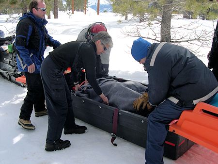 Preparing to transport subject