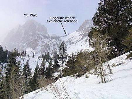 Looking at Mt. Walt and the area where the slide occured while skinning up into Blacksmith Creek Looking at Mt. Walt and the area where the slide occured while skinning up into Blacksmith Creek