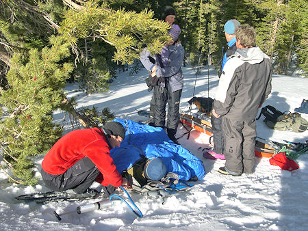 Preparing Perrault for transport Preparing Perrault for transport
