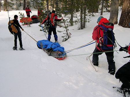 Moving Perrault on litter to snowmobile sled