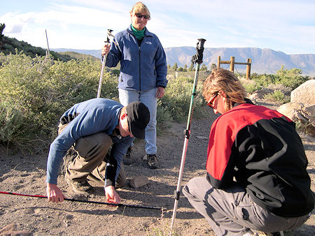 Tracking Training