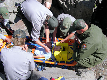 Packaging the 'victim' in the litter Packaging the 'victim' in the litter