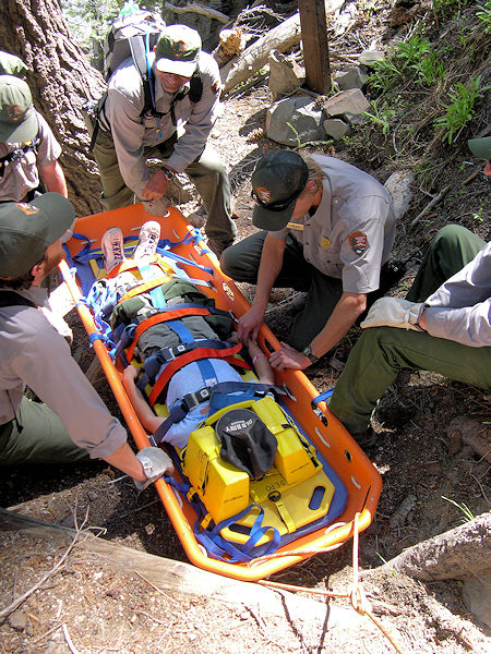 Ready to transport the 'victim' Ready to transport the 'victim'