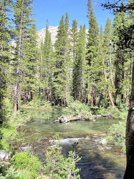 Nice scenery along the trail Nice scenery along the trail