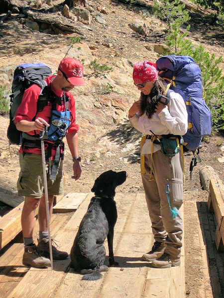 Rescue team members and dog taking a break Rescue team members and dog taking a break