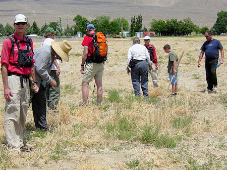 Ops 09-393 Evidence Search Ops 09-393 Evidence Search