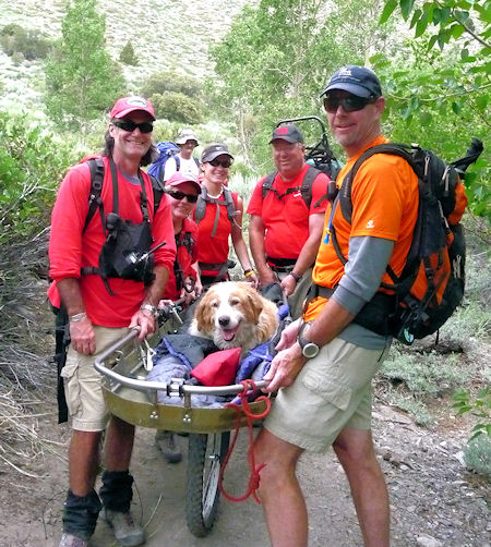 Ops 10-384 - 16 year-old golden retriever named Toby needed a ride