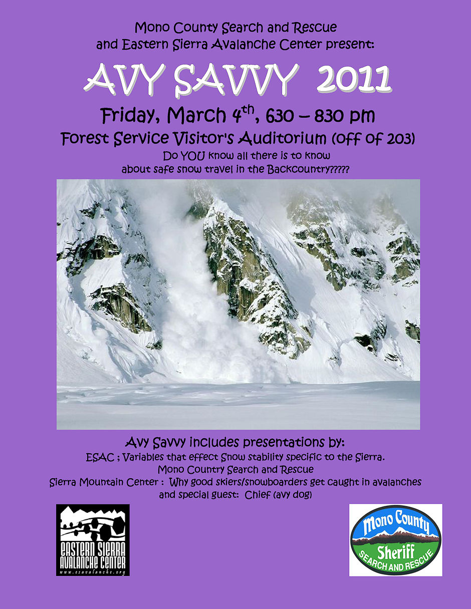 AVY Savvy AVY Savvy