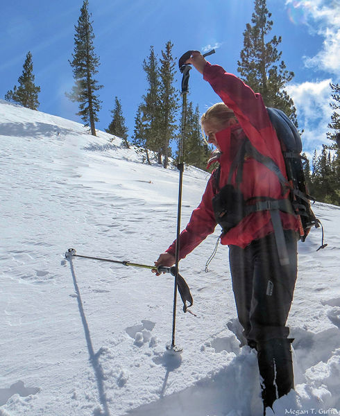 Avalanche Training