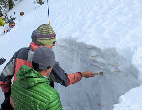 Avalanche Training Avalanche Training
