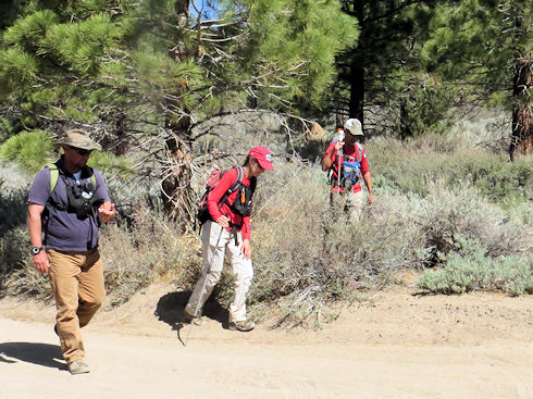 Search Training Search Training