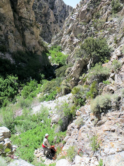 Ops 13-466 Boundary Peak SAR - June 12, 2013 - Morris Creek