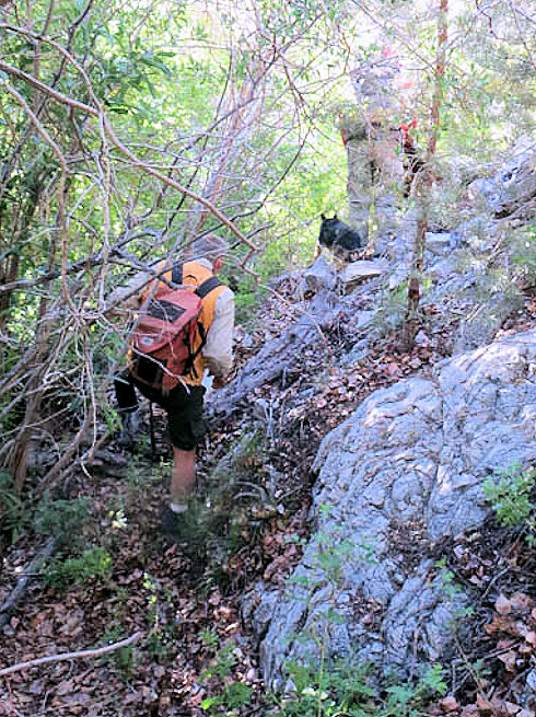 Ops 13-466 Boundary Peak SAR - June 12, 2013 - Morris Creek