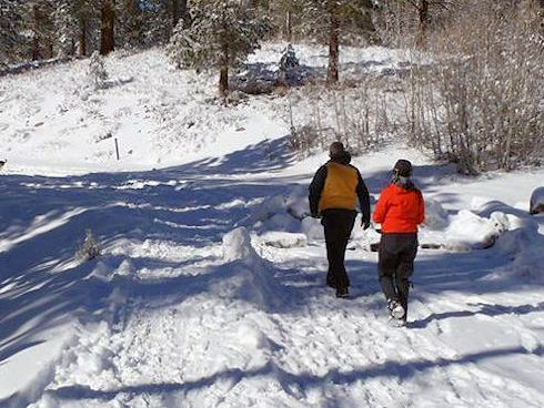 Lee and Christina going out on the first search problem. The mission ... find Barb!