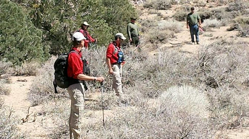 Evidence search - Chidago Loop area