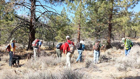 Managing the search line Managing the search line