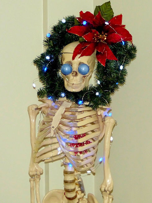 He's a bit thin, but looking very festive and happy He's a bit thin, but looking very festive and happy