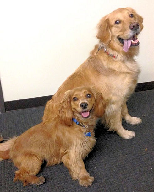 Lindy and Takoda posed nicely for a picture of the Candidate and the Old Pro Lindy and Takoda posed nicely for a picture of the Candidate and the Old Pro