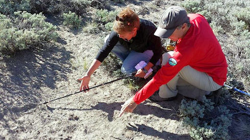 Evaluating footprint Evaluating footprint