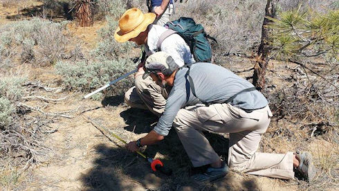 Evaluating a footprint Evaluating a footprint