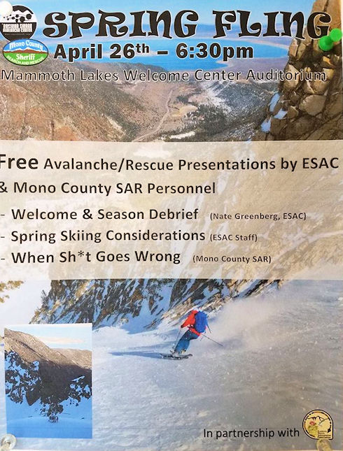 ESAC Spring Fling poster