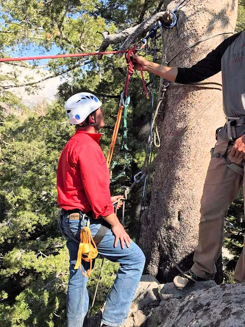 Rigging For Rescue Training