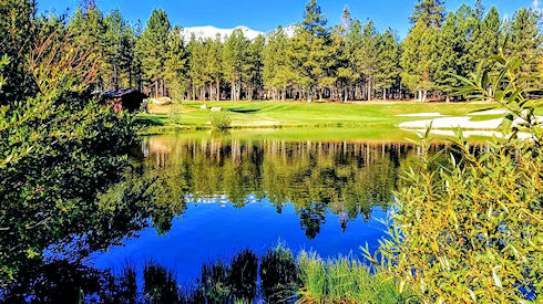 Golf Tournament Golf Tournament