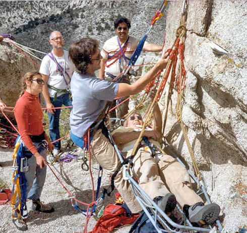 1983 Litter lowering/raising training