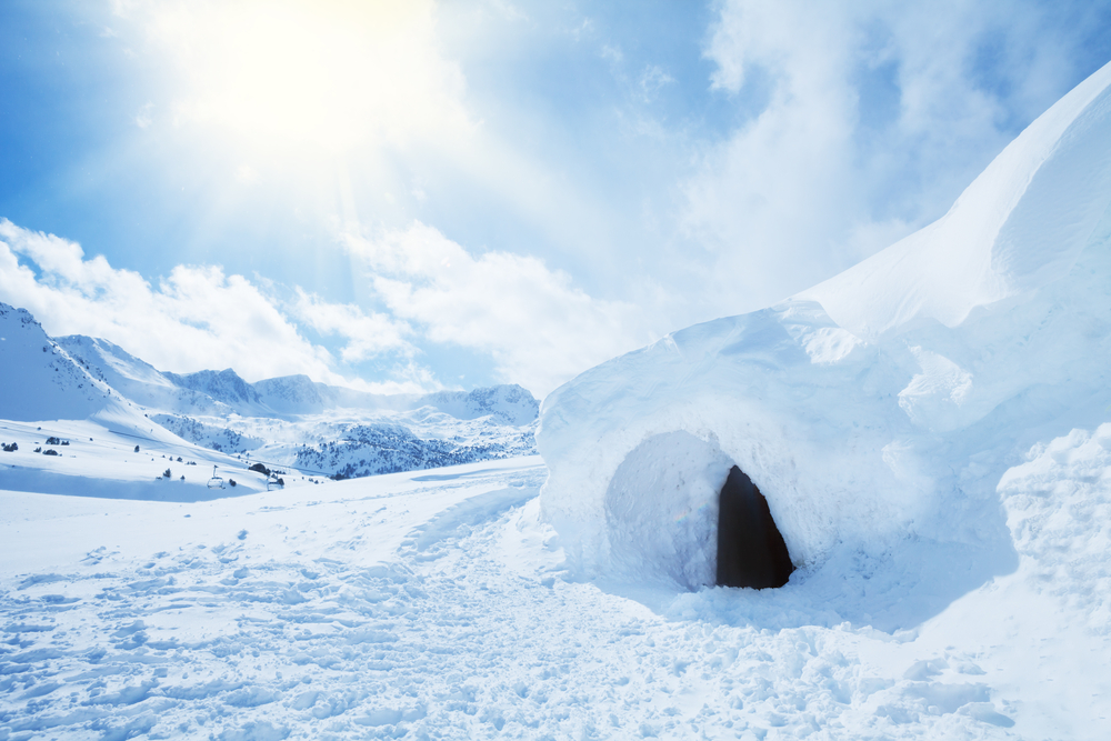 Snow Shelter Snow Shelter