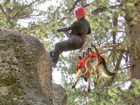 Ursa and handler Noreen McClintock practice rappel Ursa and handler Noreen McClintock practice rappel
