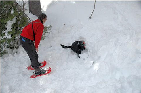 Bosley and handler Dadre Albaugh Bosley and handler Dadre Albaugh