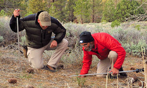 Learning Tracking Skills - Megan Guffey Photo